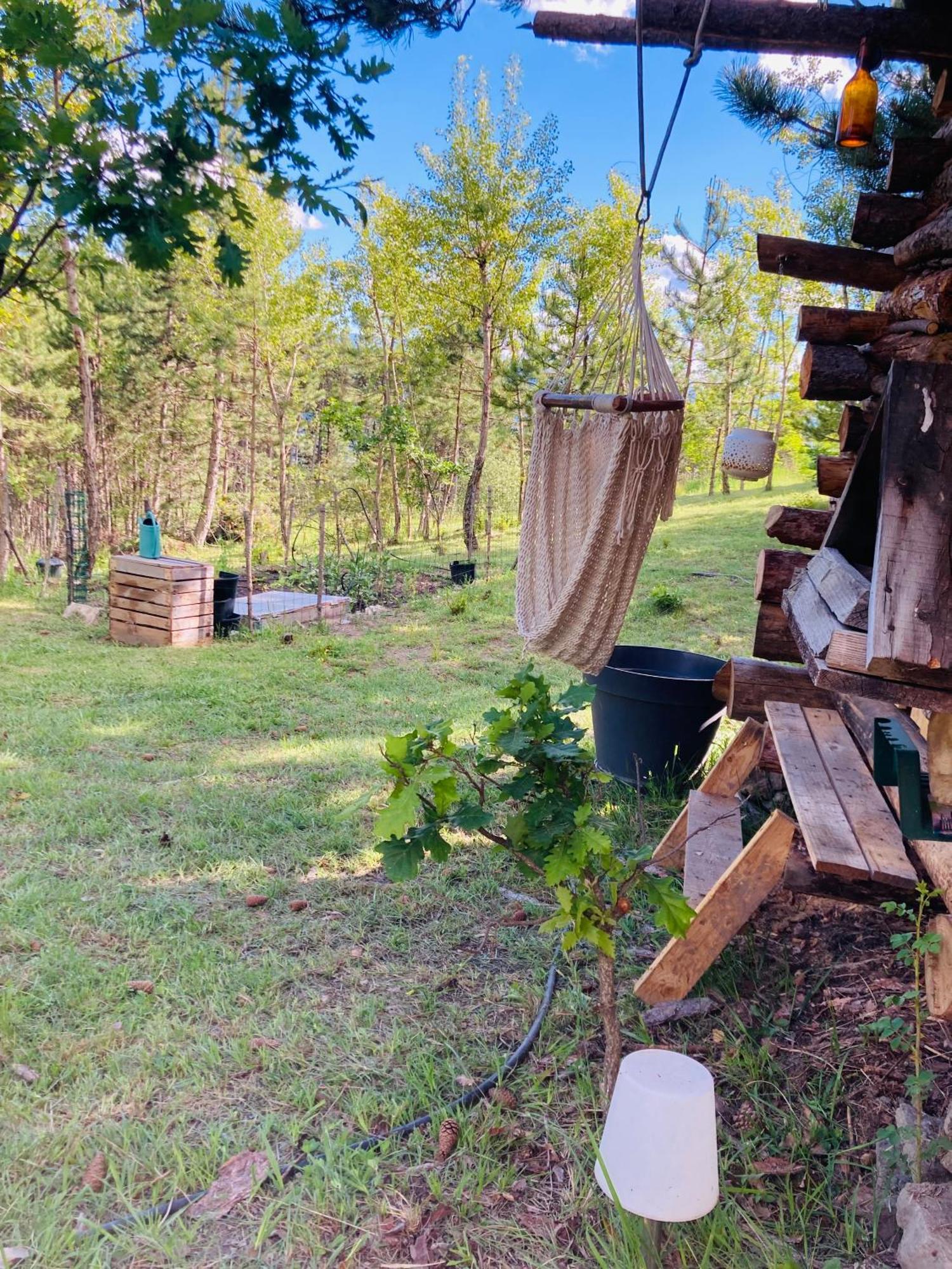 Chalet Forest Saint-Apollinaire  エクステリア 写真
